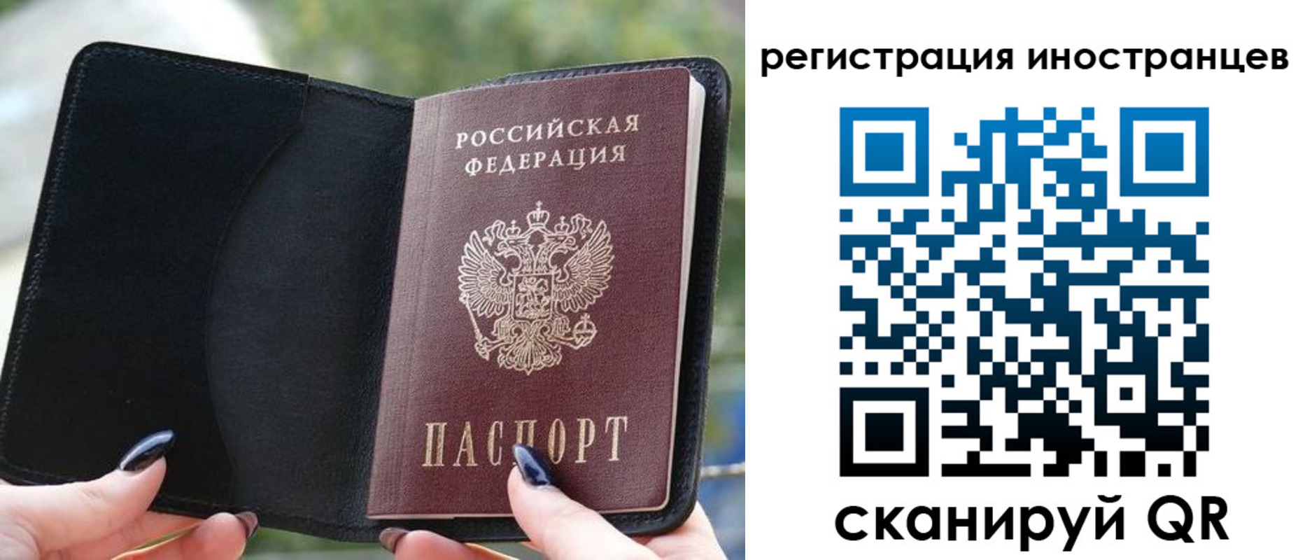 найти адрес прописки в Новоалександровске